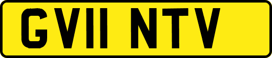 GV11NTV
