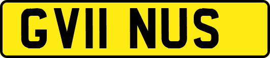 GV11NUS