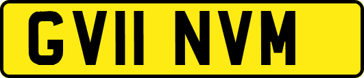GV11NVM