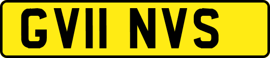 GV11NVS