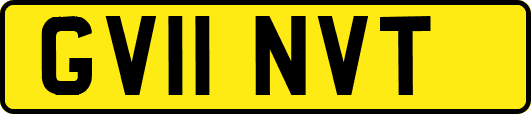 GV11NVT