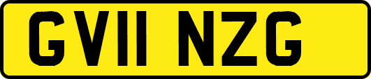 GV11NZG