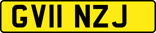 GV11NZJ