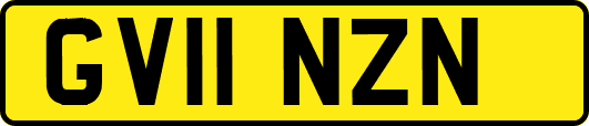 GV11NZN