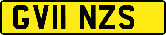 GV11NZS