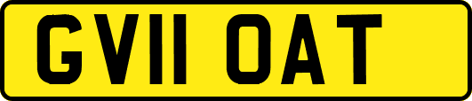 GV11OAT