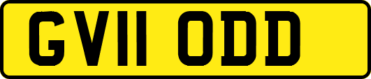 GV11ODD