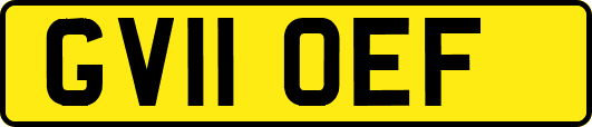 GV11OEF