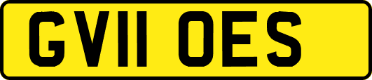 GV11OES