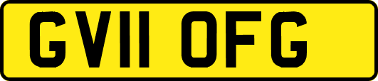 GV11OFG