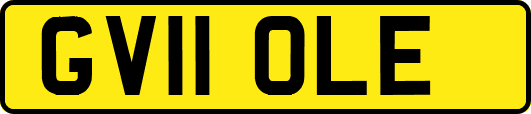 GV11OLE