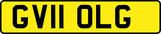 GV11OLG