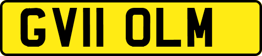 GV11OLM