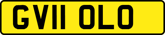 GV11OLO