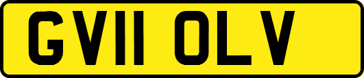 GV11OLV
