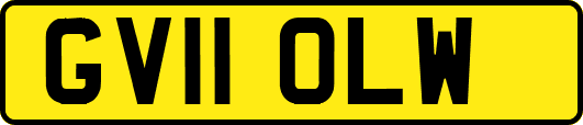 GV11OLW