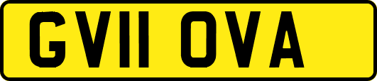 GV11OVA