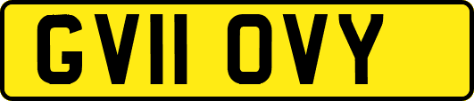 GV11OVY