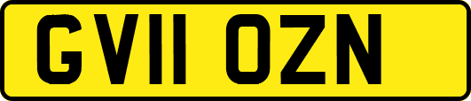 GV11OZN