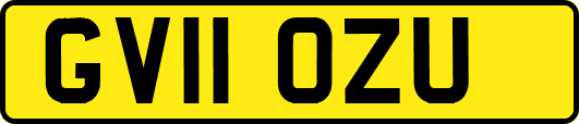 GV11OZU