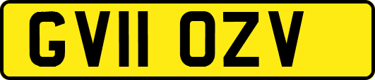 GV11OZV