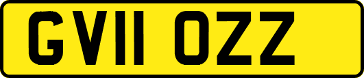 GV11OZZ