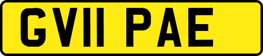 GV11PAE