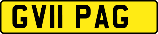 GV11PAG