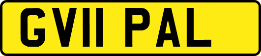 GV11PAL