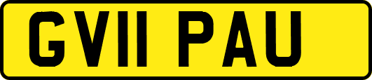 GV11PAU