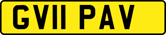 GV11PAV