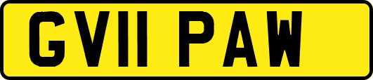 GV11PAW