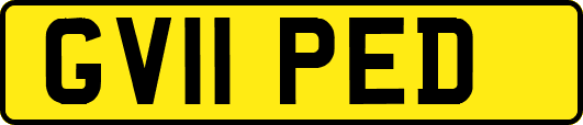 GV11PED