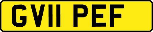 GV11PEF