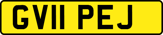 GV11PEJ