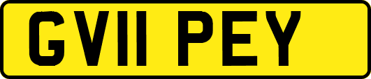 GV11PEY
