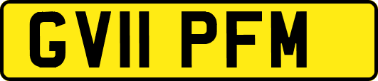 GV11PFM