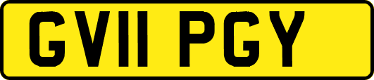 GV11PGY