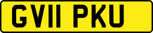 GV11PKU
