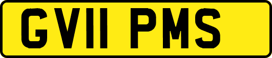 GV11PMS