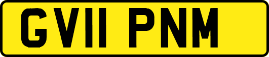 GV11PNM