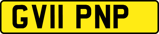 GV11PNP