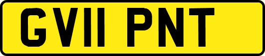 GV11PNT