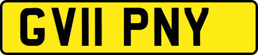 GV11PNY