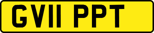 GV11PPT
