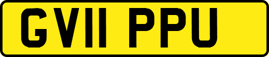 GV11PPU