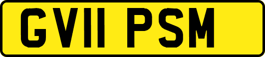 GV11PSM