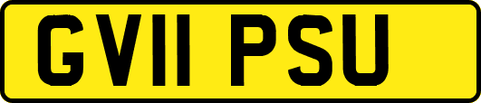 GV11PSU