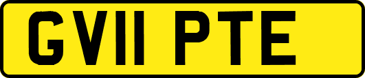 GV11PTE