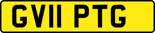 GV11PTG